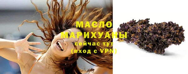 сатива Горнозаводск