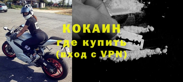 сатива Горнозаводск