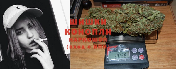 ГАЛЛЮЦИНОГЕННЫЕ ГРИБЫ Горно-Алтайск